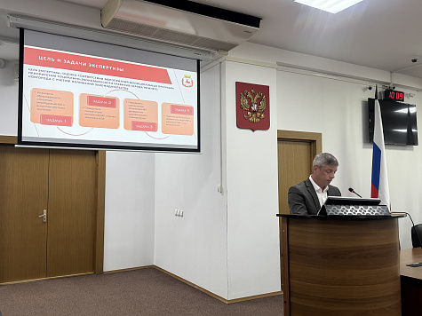Об итогах проведения экспертизы муниципальных программ города Нижнего Новгорода, проведенных контрольно-счетной палатой города Нижнего Новгорода